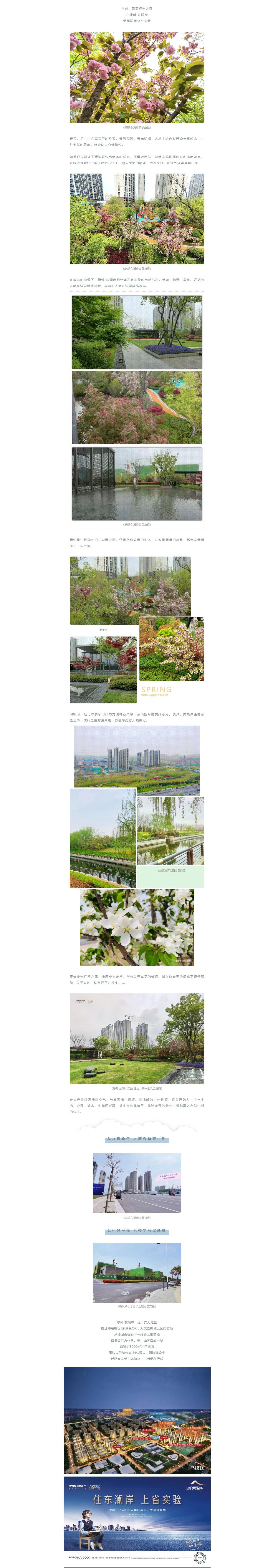 赏花踏青，来一场和春天的约会